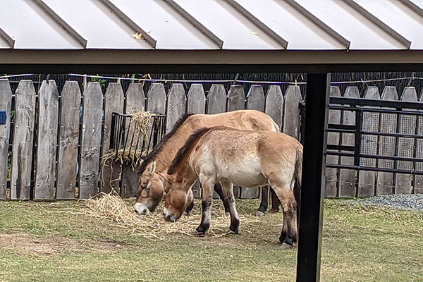 National Zoo