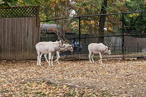 National Zoo