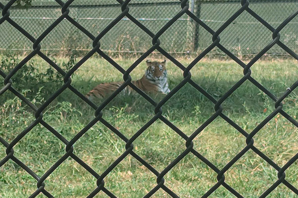 Virginia Safari Park
