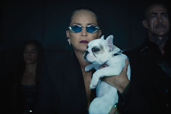 Better Call Saul to Kick Your Ass