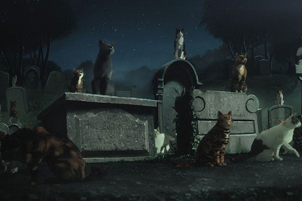 Dream of a Thousand Cats