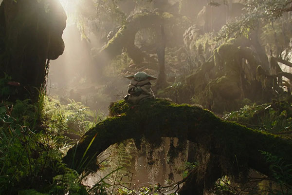 Just a Mandalo... and everywhere he goes...